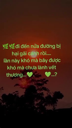 Video của ntuj os....tus hlub 🌿 (@tagncotaghlub) với bản nhạc âm thanh gốc - @𝑴𝑬̌𝑵𝑮