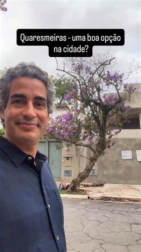 Ricardo Cardim on Instagram: "Pleroma granulosum, nativa da Mata Atlântica do Rio de Janeiro. #paisagismoejardinagem #arborizaçãourbana #arborização #plantasornamentais #arvores"