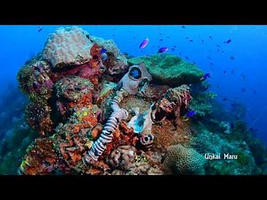 Truk Lagoon Wreck Diving 2020 (Chuuk, Micronesia) aboard the Truk Odyssey