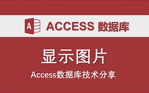 显示图片 Access数据库技术分享 VBA编程 图片 控件 窗体