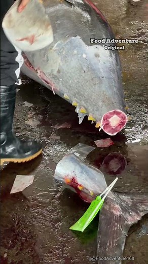 Insane tuna cutting using the sharpest knife ever made #FishCutting #Seafood #Satisfying