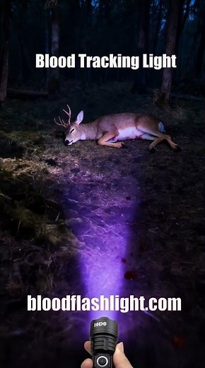 Blood Tracking Lights for Hunting Essential Tool Best Gifts for Hunters