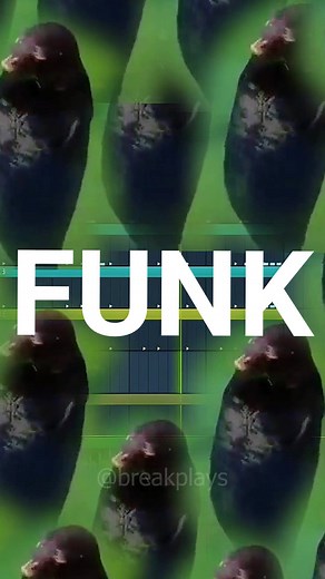 funk da foca giratória 🦭 #funk #remix #spinningseal