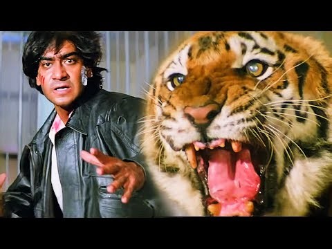 CLIMAX - अजय देवगन भिड़े असली शेर से | Vijaypath | Ajay Devgn vs Tiger Action Scene