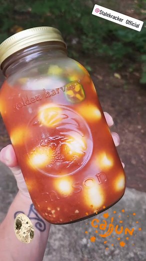 1st batch of Spicy Cajun Pickled Quail Eggs! @Stalekracker Official #pickledquaileggs #spicy #cajun #cajun2step #reedcreekhomestead