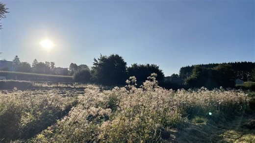 Météo en Belgique : une fin de week-end sous le soleil et la chaleur, jusqu’à 28°C cet après-midi - RTBF Actus