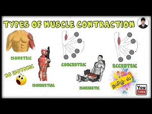 MUSCLE WORK | TYPES OF MUSCLE CONTRACTION | BIOMECHANICS