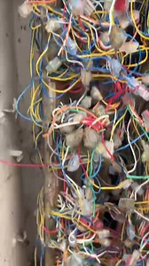 11K views · 67 reactions | Now that’s one shrew-d colleague  This was the last thing Engineer Neil was expecting when he unlocked the door of this cabinet in Compton, West Sussex! He left his furry friend well alone, as while we appreciate their help, we know our expert engineers will be just fine without it!⚡ | Openreach | Facebook