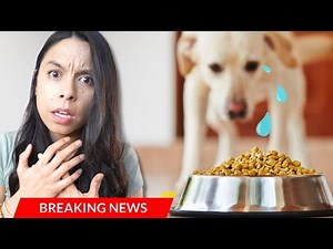 Healthy Dogs Eat ONLY ONCE A Day 🚨 Based on NEW SCIENCE!