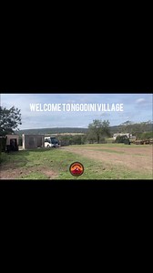 6.5K views · 151 reactions | USA invading Ngodini Bunduz to learn more about Zulu people and our Culture | Ngodini Bunduz | Facebook