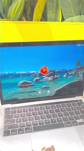 My office tour 📁✒️🗒️#viral #myoffice #mylifestyle #daily #officelife #officework #shorts