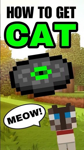 All Ways To Find The "Cat" Disc in Minecraft! #minecraft