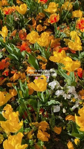 tap for the best spring locations in london 🌸🌿 save for future planning 😇 spring is officially