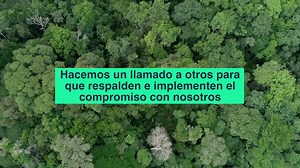 2021 debe ser el punto de quiebre: urge que transformemos nuestra relación con la naturaleza, para salvaguardar nuestro futuro. El tiempo de actuar es YA. | WWF México