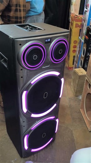 dual 12 inch# subwoofer home# theatre?