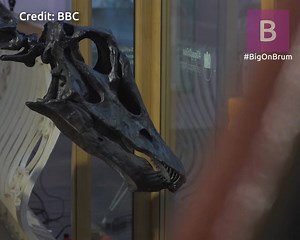 15K views · 54 reactions | Dippy is coming! You can see Dippy the dinosaur from Saturday at Birmingham Museum and Art Gallery (UK) and it's FREE! You have to sign up for tickets first. More here https://www.birminghammail.co.uk/whats-on/whats-on-news/dippy-dinosaur-uk-tour-birmingham-12174691 | City Life Birmingham | Facebook