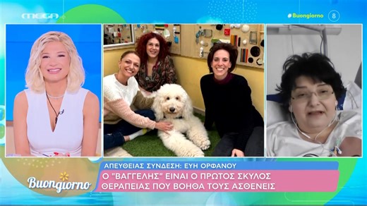 Ο «Βαγγέλης» είναι ο πρώτος σκύλος θεραπείας που βοηθά τους ασθενείς!