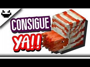 🌮👽🍸How to TAME and ride a nautilus in Minecraft✋🤑FAST and easy🤑👌DEFINITIVE GUIDE☝🥵1.21.124+