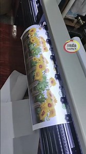 Cutting Vinyl CCD Contour Cutter Plotter Machine