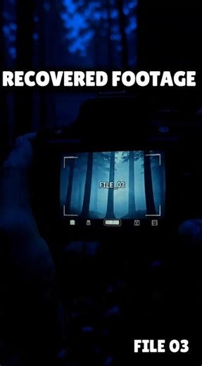 File 03 should have stayed hidden.