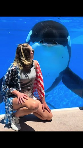 I got to meet Trua the orca at SeaWorld Orlando during a killer whale up close tour! I asked him for a pec slap and vocals! #seaworld #foryou #foryou #foryoupage #new #funny #watch #trending #tiktok #fypシ゚viral #shamu #amazing #silly #orlando #viral #orca #cuteanimals #cute #trua