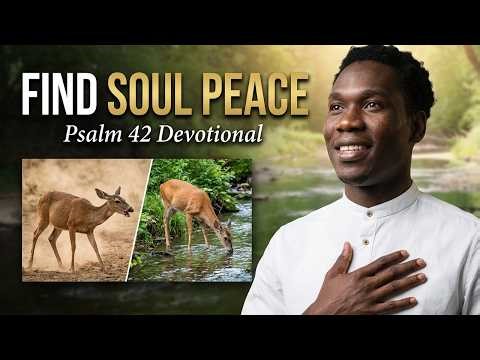 Your Downcast Soul Needs This | Psalm 42 Devotional