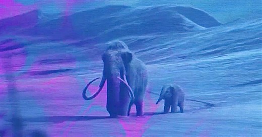 Dallas lab pushes boundaries of science to bring back extinct species