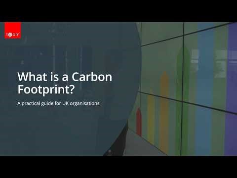 What Is a Carbon Footprint? Definition, Scopes & How to Reduce Emissions