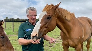 2.9K views · 183 reactions | And the winner of the Ultimate Living Legends experience is... | Living Legends | Facebook