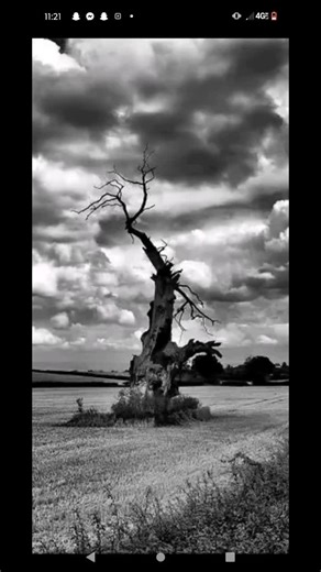 Ty Steele (@tysteele3)’s videos with original sound - God’s Child