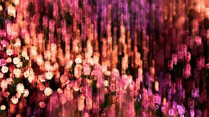 DADA X LAETITIA | Fata Morgana