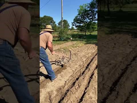Making garden rows with an Earthway wheeled cultivator- simple and easy method!