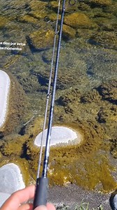 Ya me superó # es lo que estaba esperando 😍😍😍 | El Bala Fría