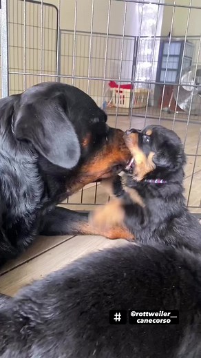 حسابات مقترحة