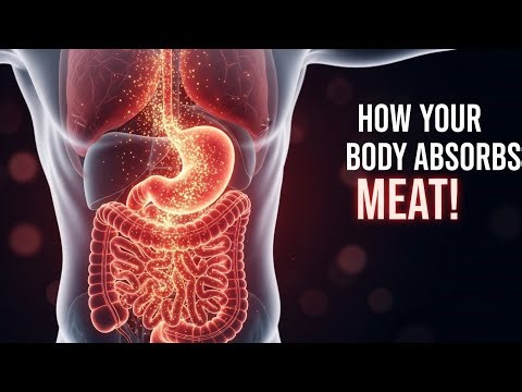 What Happens When You Eat Meat? #health #healthtips