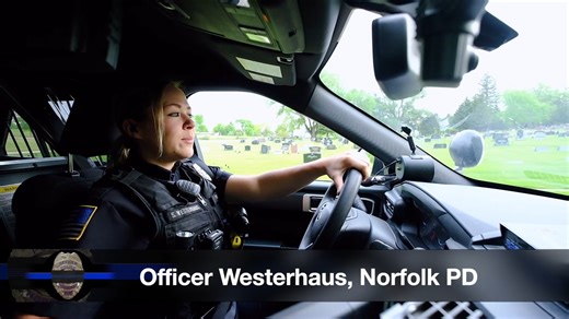 13K views · 124 reactions | Want a career where no two days are the...