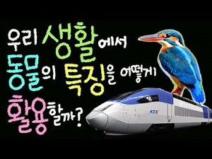 우리 생활에서 동물의 특징을 어떻게 활용할까요? [초등 과학 3학년 2학기 2단원 9차시 ]