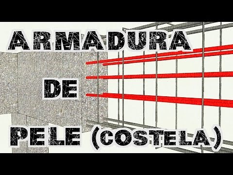 Armadura de pele (costela)