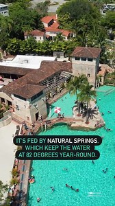 27K views · 137 reactions | Summertime  and the livin’ is easy. The kids are jumping and the temperature is high  Open only during the spring and summer months, the Venetian Pool is a great way to relax and cool off during this warmer season. Have you ever been to this unique historical landmark? (via IG/dueitalianiamiami) | Visit Miami | Facebook