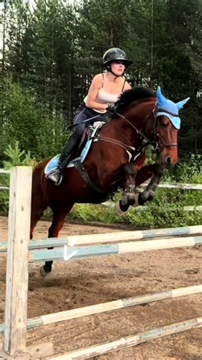 Niin iso kiitos kaikille jotka on mua auttanut tässä lajissa ja luottanut hevoset mun käsiin❤️ mutta joo on mun aika lopettaa tää laji. Ainakin joiksikin aikaa ja varmasti joskus vielä nousen hevosen selkään mutta tosiaan en varmastikkaan enää Tuu hevosta omistamaan. Hirveen pitkälle en tässä lajissa päässy mut eipä voi mitää. Tosiiaa maga menee mun tutulle todennäkösesti jossain vaiheessa. Ja tää kt hiljentyy nytt. #fyp