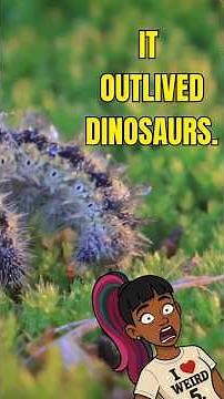 This Animal Is Literally Indestructible 🤯 #weirdscience #facts