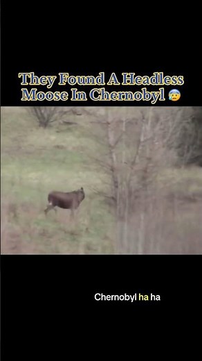 They Found A Headless Moose In Chernobyl 😰 #interesting