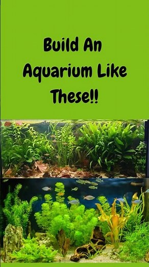 Make an Aquarium the SIMPLE Way!!