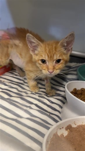 Monty Update. #davidloop65 @Missy Ramos @Maddie