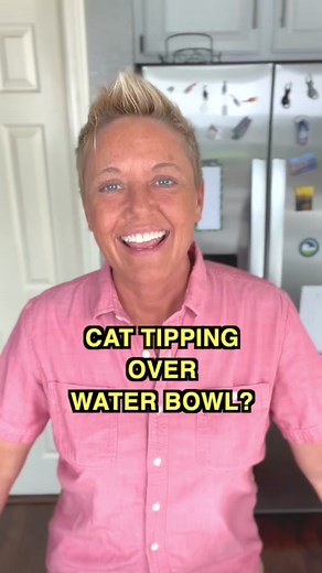 Cat Tip of the Day: Does your cat play with their water or tip the bowl? #cattips101 #catwater #catstagram