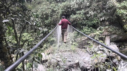 Exploring The High Jungle In Bolivia; A Castle And Other Surprises