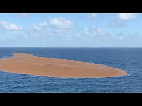 How to display the weed lines feature | Fish Mapping | SiriusXM Marine | Garmin