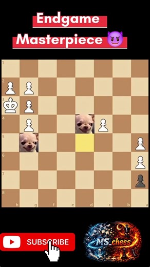 Endgame masterpiece✨️ #chess #chessboard #chesscoach #chessgame #viral #chesscom #reels #chessmaster
