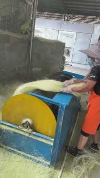 Leaf fiber extraction and yarn making