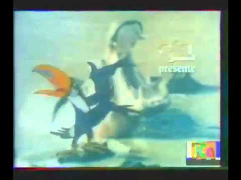 Le super toucan toco1.wmv